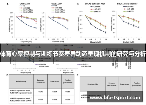 体育心率控制与训练节奏差异动态呈现机制的研究与分析