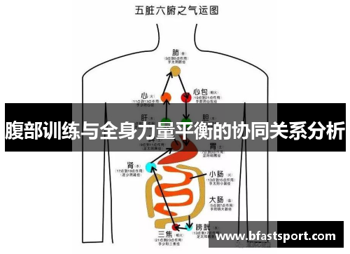 腹部训练与全身力量平衡的协同关系分析